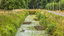 Natuurlijk water