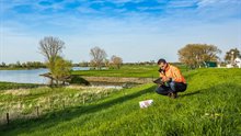 hertogswetering controle op dijk empel maas