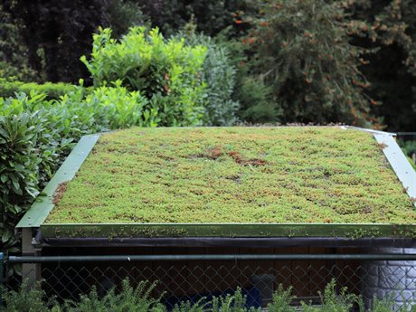 Dit kun je zelf doen - Groene daken - Waterschap Aa en Maas