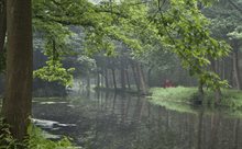 Sfeerbeeld van de Peelvenen