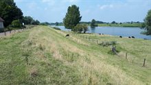 Maasdijk bij Bokhoven Maasdijk bij Bokhoven