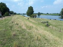 Maasdijk bij Bokhoven