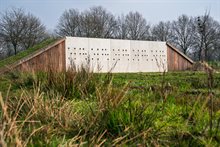 Oeverzwaluwwand in de Kop