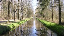 De beek de Biezenloop in het natuurgebied Wijboschbroek
