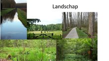 Landschapsfoto's uit het natuurgebied Wijboschbroek
