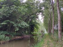 Biezenloop