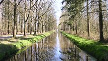 De beek de Biezenloop in het natuurgebied Wijboschbroek