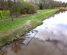 Hout in de beek