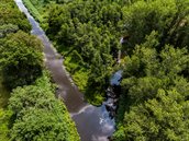 De beek Peelkanaal rechts en de beek de Lage Raam links