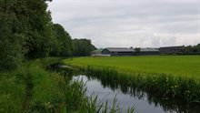 Landgoed Tereyken en de beek de Snelleloop