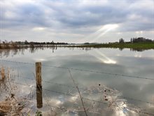 Hoogwater op de rivier de Maas