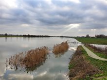 Hoogwater op rivier de Maas