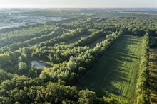 Locatie waterberging, voor herinrichting (juli 2022)