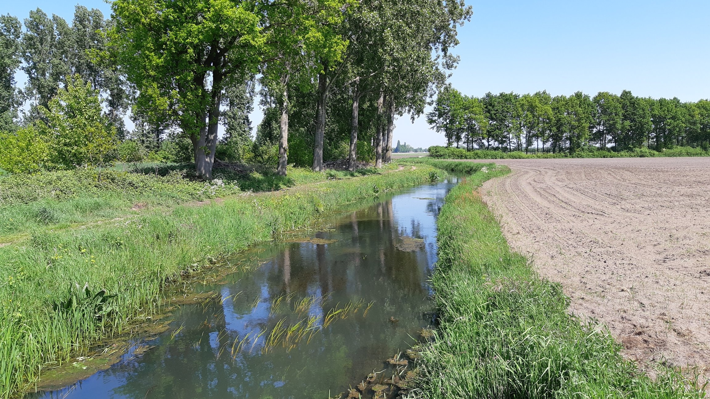 Plannen optimalisatie peilbeheer Oploo en Landhorst ter inzage