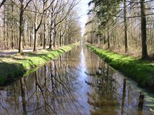 Foto van de Biezenloop in Wijboschbroek