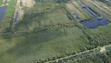Leegveld