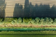 Sint Jansbeek van boven