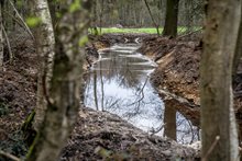Werk in uitvoering: nieuwe bosbeek gegraven (maart 2024)