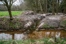 Werk in uitvoering: nieuwe bosbeek gegraven (maart 2024)