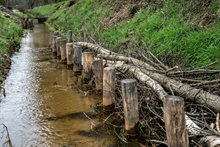 Werk in uitvoering: hout in de beek (maart 2024)