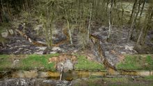 Werk in uitvoering: nieuwe bosbeek gegraven