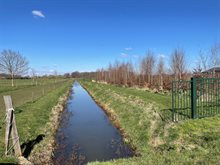 Sint Jansbeek ter hoogte van Groeningen