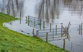 hoogwater_hoog_water_februari2020_02_2020 (137)