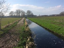 Soeloop Leegveld Polderdreef5