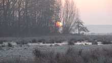 Rijskampen winter