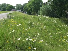 2022-04-28-persbericht-biodiversiteit