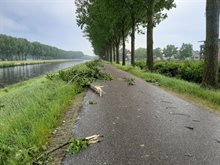 Stormschade Diezedijk Den Bosch