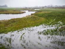 weer-regen-storm-dynamisch-beekdal-Den-Dungen (2)