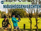 Maasheggenvlechten