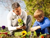 Bloemen planten_1