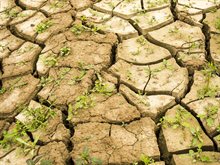 2023-6-22-droogte-brabant