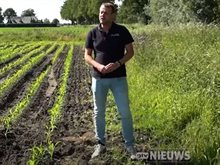 Jos Kruit bij DTV Nieuws droogte
