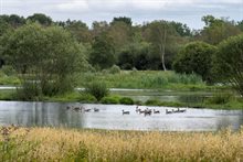 Leegveld Deurnsche Peel