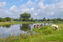 Bovenstrooms vasthouden, zowel ver weg als dichtbij s-‘Hertogenbosch.