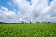 Dungense Polder