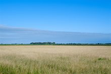 Baardwijkse Overlaat