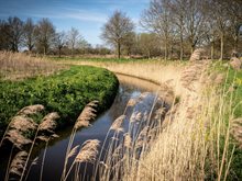 't Gulden Land 1 (1)