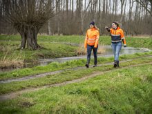 Afbeelding_schouw