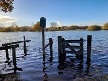 hoog water november_7