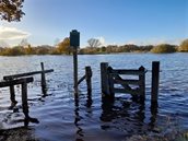 hoog_water_november_7