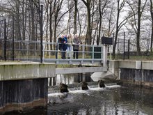 foto_stuw_waterschap_limburg