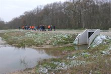 Wandeling door de waterberging