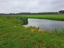 Leijgraaf