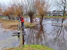 hoogwater_kelly2