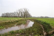 astense_aa_punt_stuw_vlierdense_weg_1_jr_na_inrichting_april