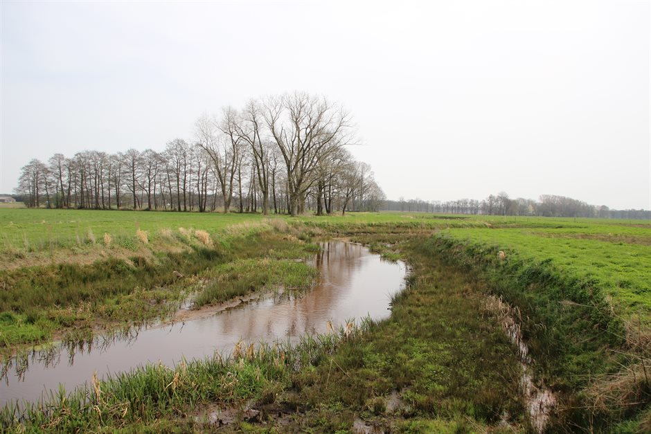 astense_aa_punt_stuw_vlierdense_weg_1_jr_na_inrichting_april